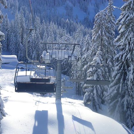 Haus Auni Metzgermeister Westendorf Eksteriør billede